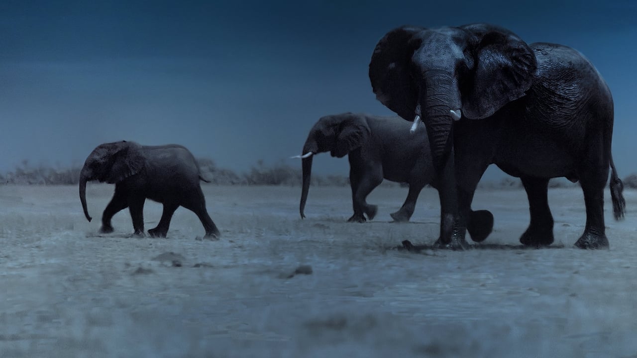 Night on Earth İzle