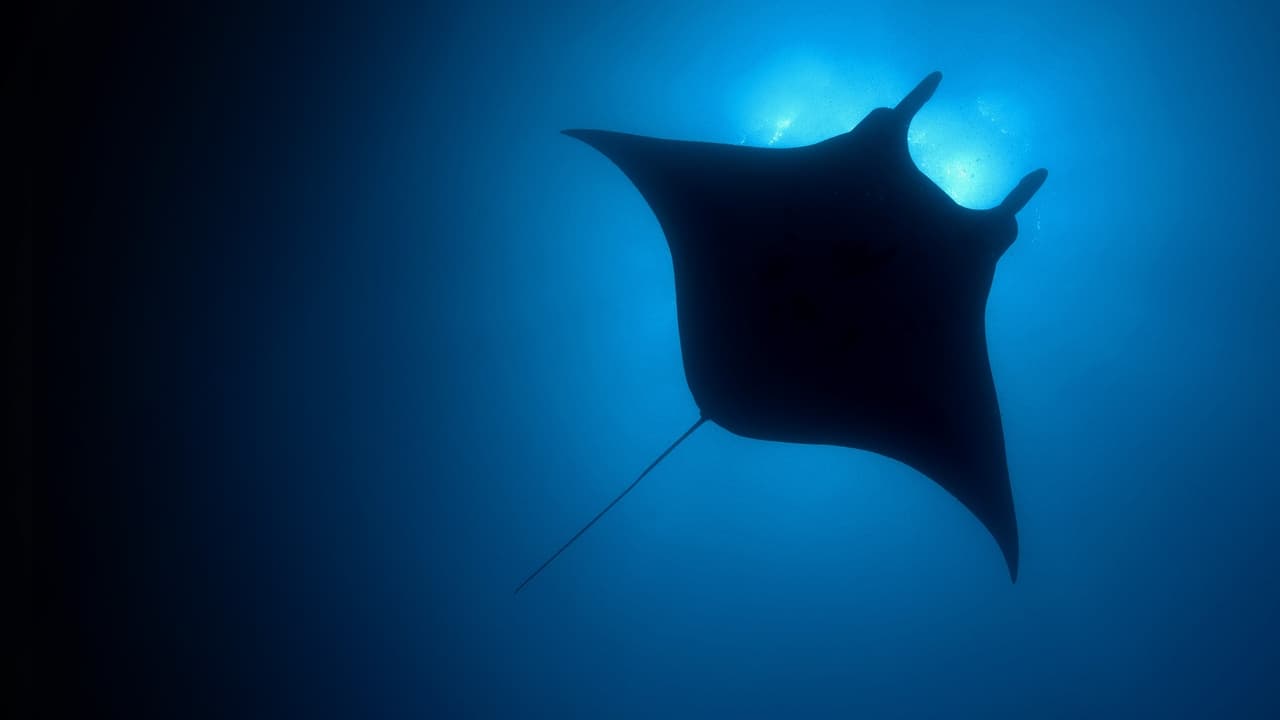 The Blue Planet İzle